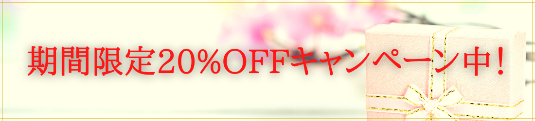 20%OFFキャンペーン