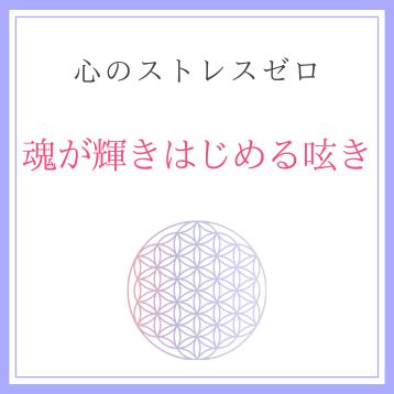 魂が輝きはじめる呟き