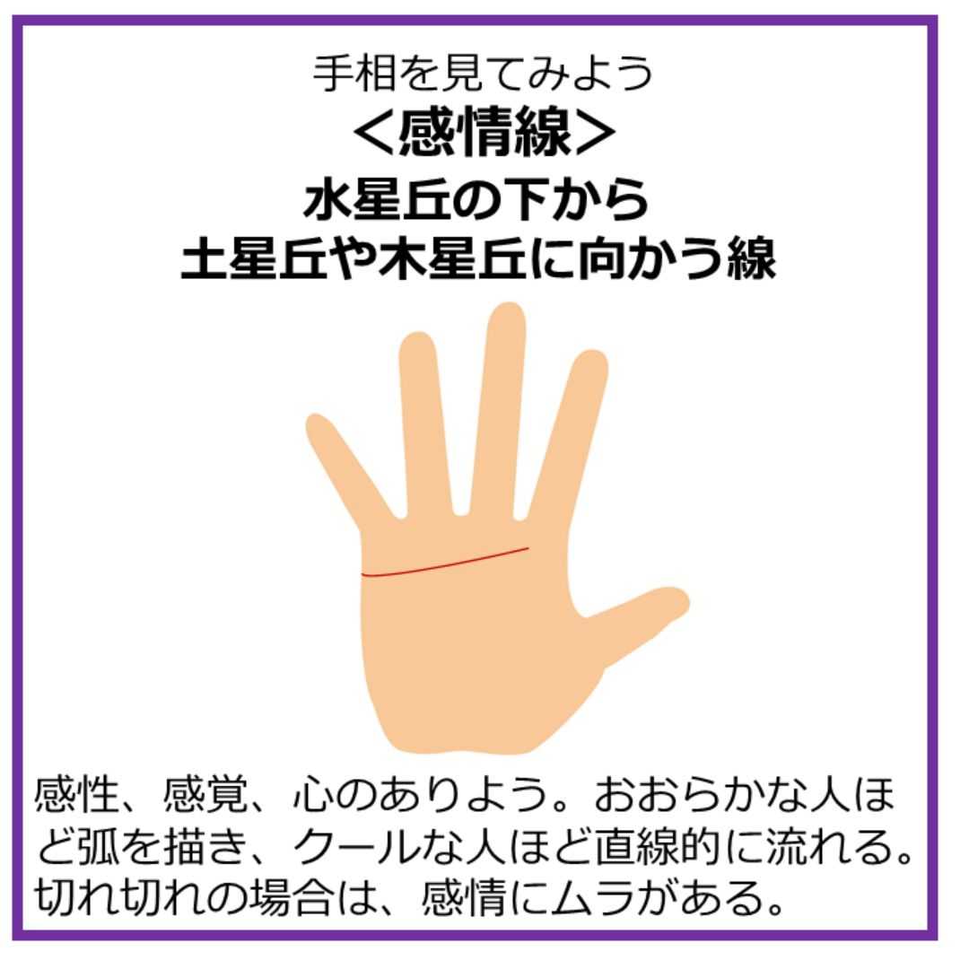感情線