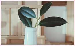 古神道式霊性開花「鎮魂法」ワークショップ